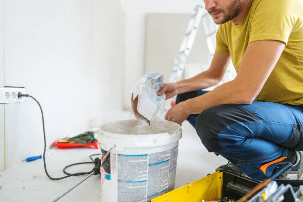 Best Basement Mold Removal  in Becker, MN
