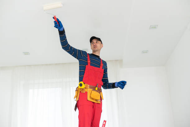 Best Black Mold Removal  in Becker, MN